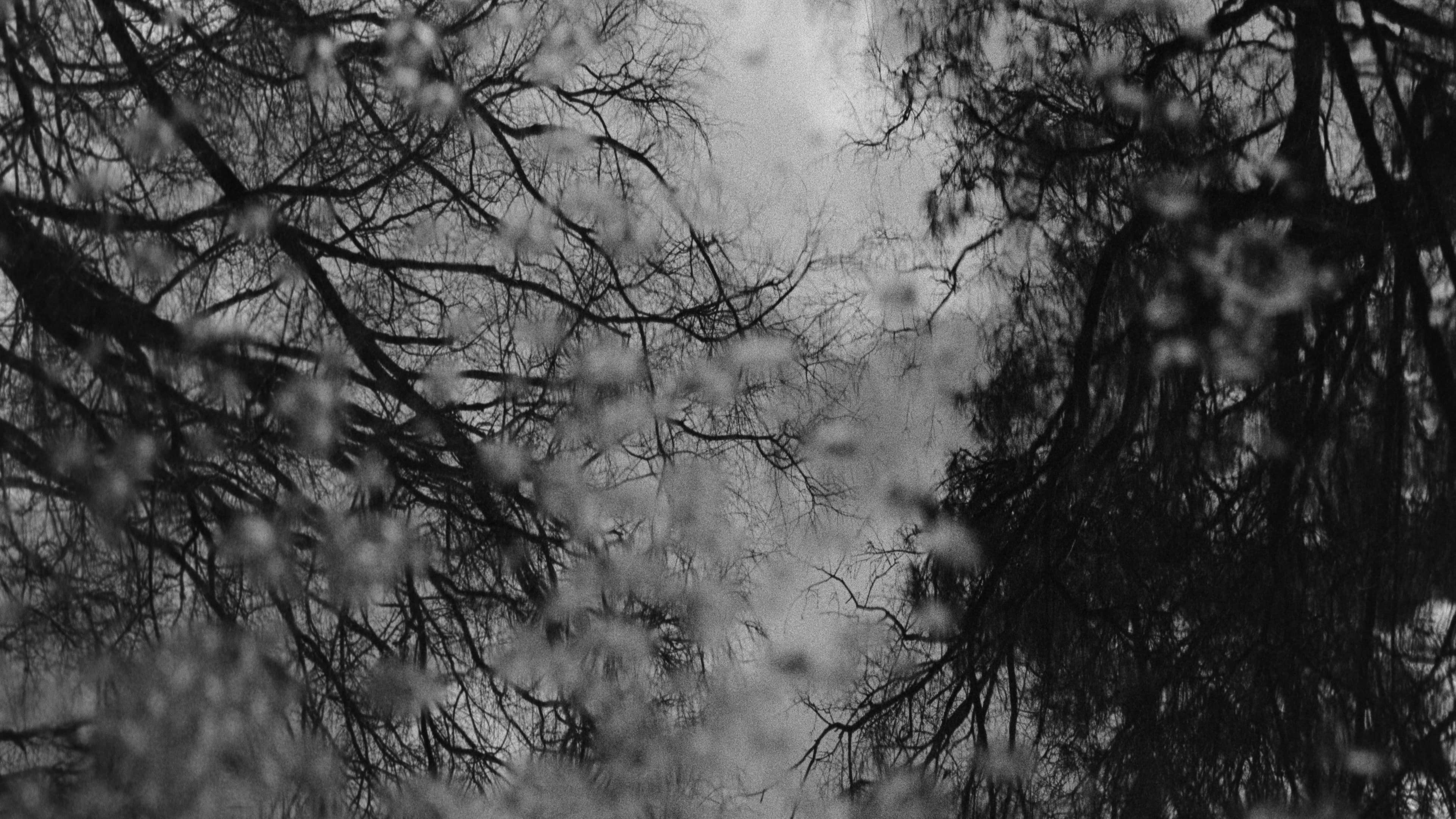 Brian Caperton - Sunk